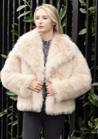 Collection Femme